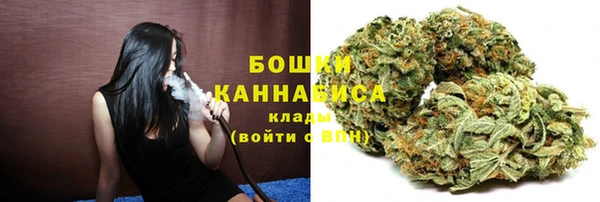 крисы Костерёво