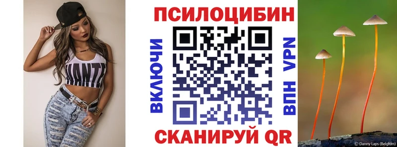 Псилоцибиновые грибы мицелий  Купить где  Сосновка 